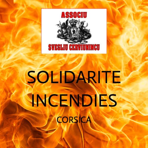 affiche_solidarite_incendies